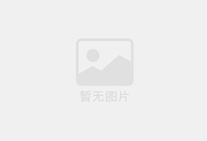 调味海苔切丝